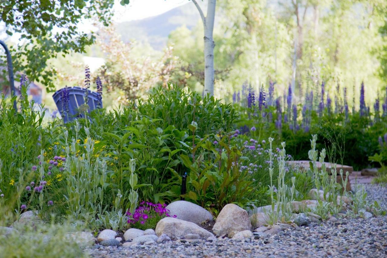 Mariposa Lodge Bed And Breakfast Steamboat Springs Exterior photo